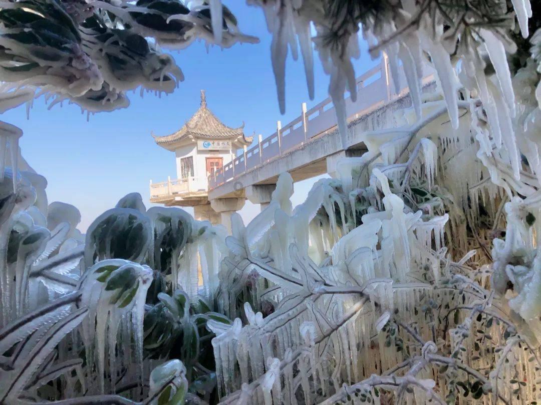 永川 加快构建成渝地区双城经济圈对外开放重要平台
